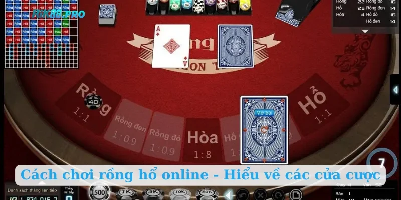 Cách chơi rồng hổ online - Hiểu về các cửa cược