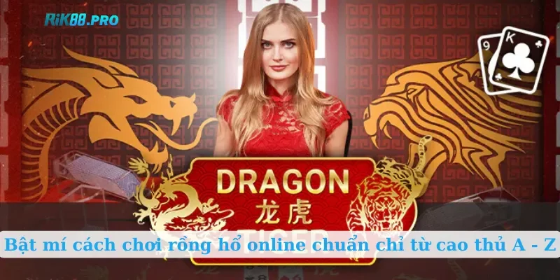 Bật mí cách chơi rồng hổ online chuẩn chỉ từ cao thủ A