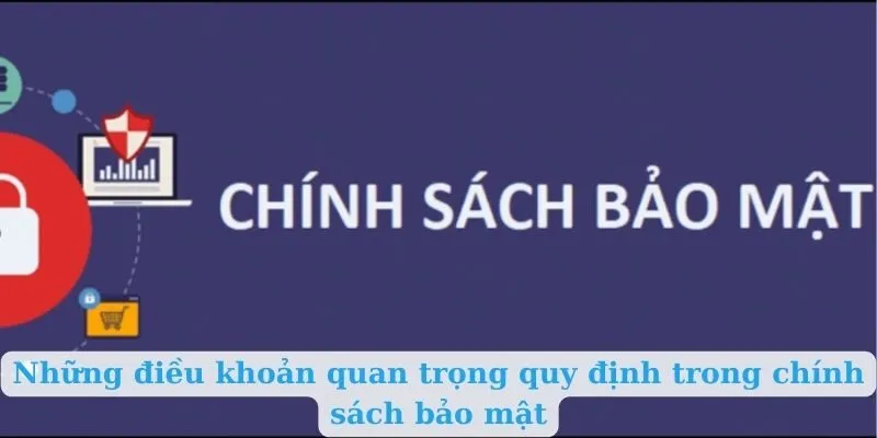 Những điều khoản quan trọng quy định trong chính sách bảo mật