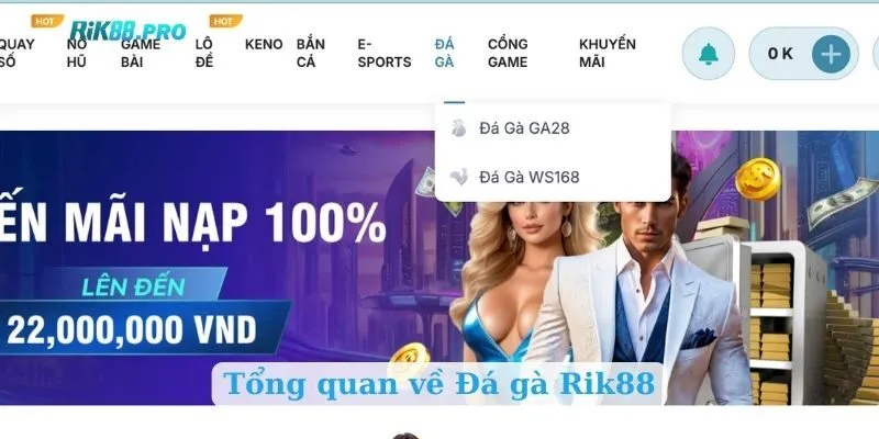 Tổng quan về Đá gà Rik88