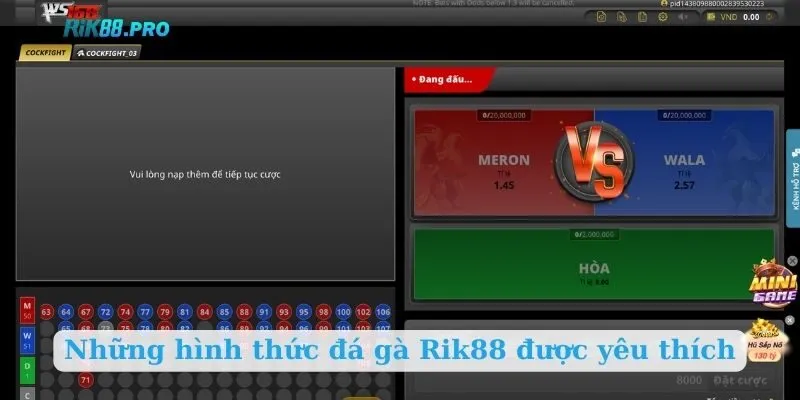 Những hình thức đá gà Rik88 được yêu thích