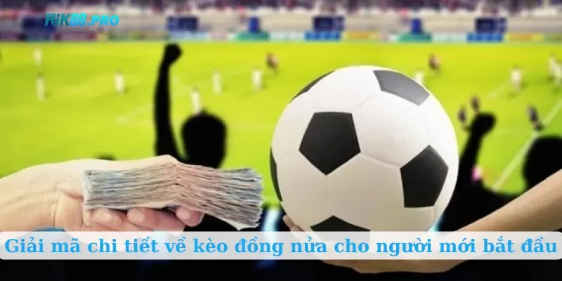 Giải mã chi tiết về kèo đồng nửa cho người mới bắt đầu