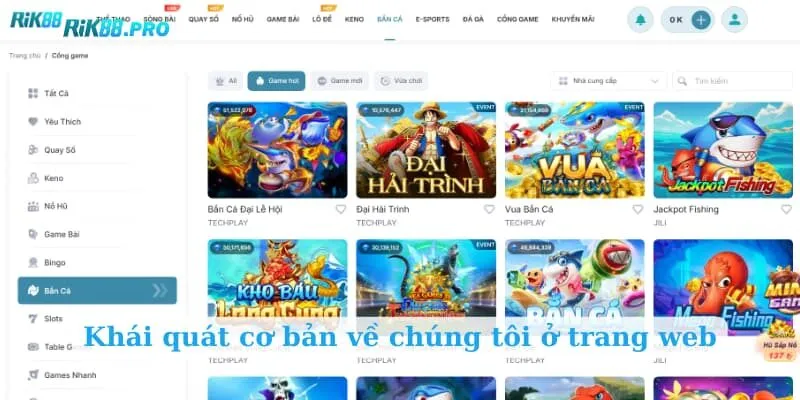 Khái quát cơ bản về chúng tôi ở trang web