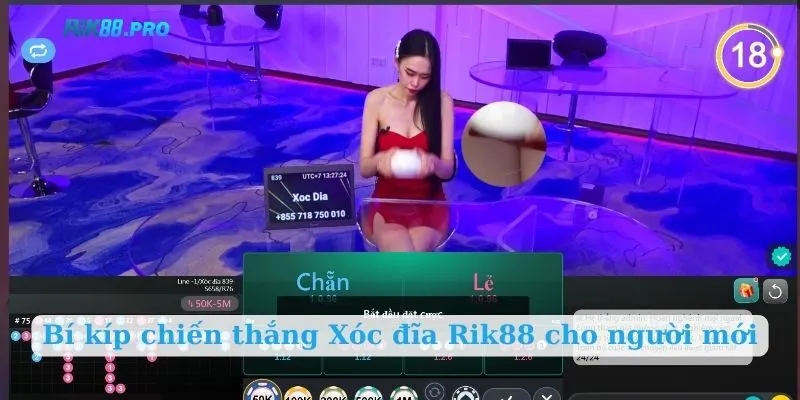 Bí kíp chiến thắng Xóc đĩa Rik88 cho người mới